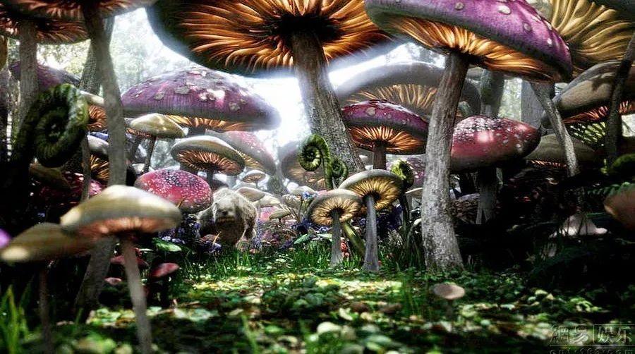你们觉得什么样的人才是好的伴侣?-你的有问必答平台
